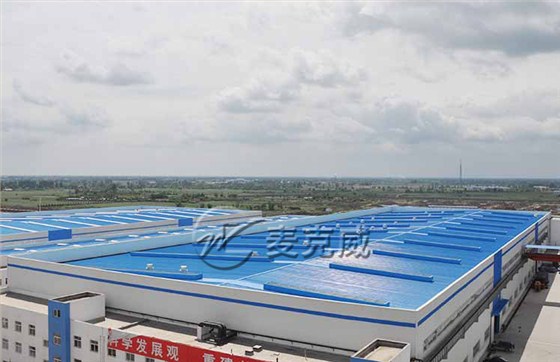 东方汽轮机机械制造业屋顶通风天窗工程