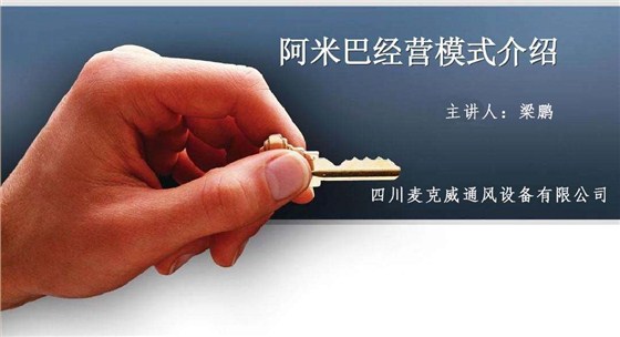 阿米巴经营模式