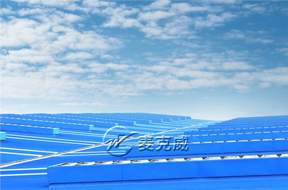 武汉武船双柳特种船舶项目