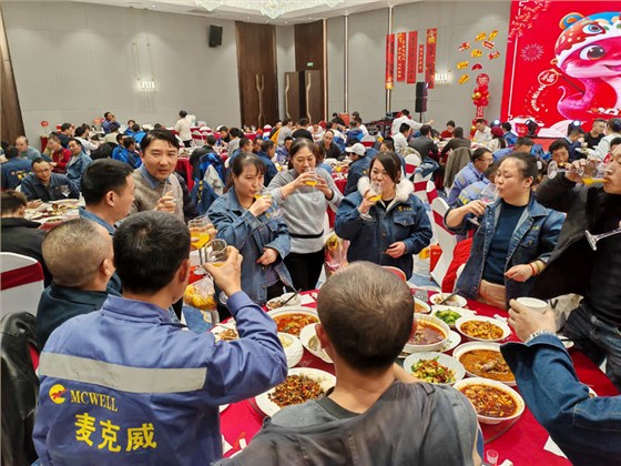 麦克威2025年会盛典