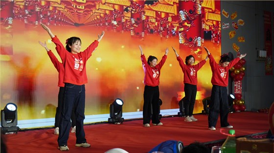 麦克威2025年会盛典