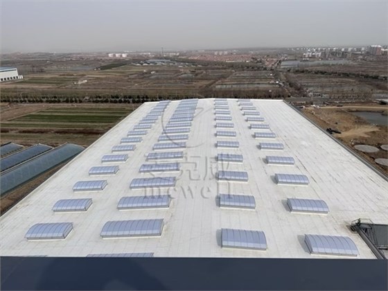 山东侧开式圆拱型采光排烟天窗