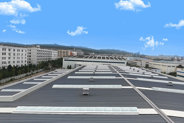 麦克威