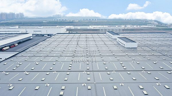 重庆赛力斯汽车
