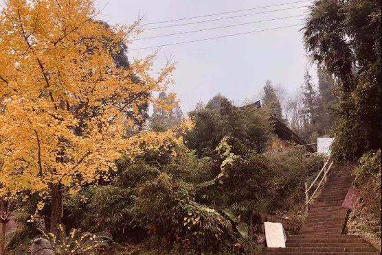 2018四川麦克威秋游活动喇叭河之旅